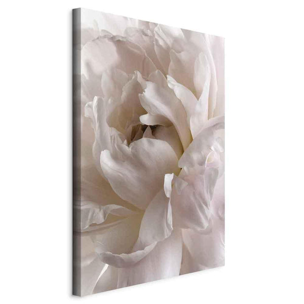 Canvas Print - Fluffy Distraction (1 Part) Vertical