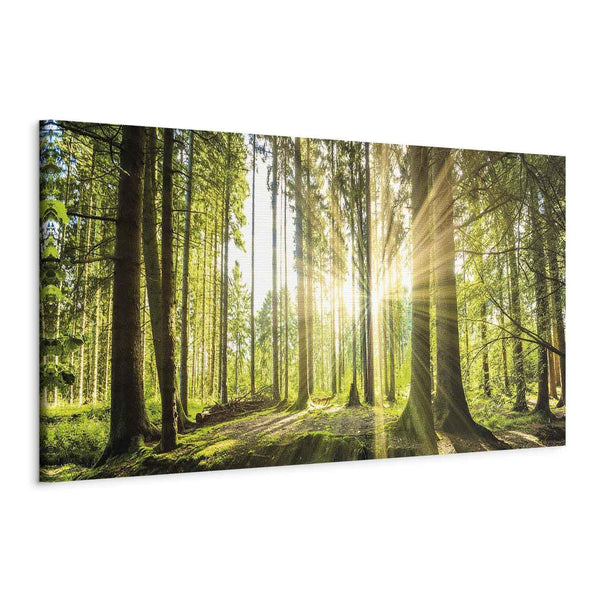 Canvas Print - Daylight