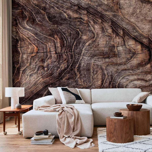 Wall Mural - Signs of the times - an abstract background with the wrinkled bark of an old tree
