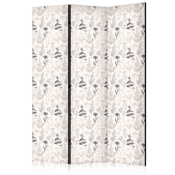 Room Divider - Botanical Illustration - Drawing of Flowers and Herbs - Beige Grays