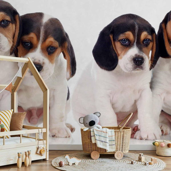 Wall Mural - Sad Puppies