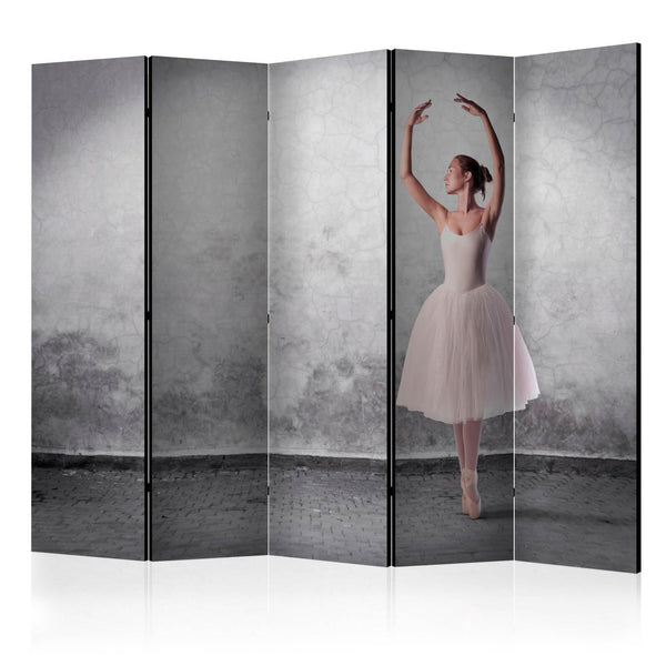Room Divider - Ballerina in Degas paintings style II