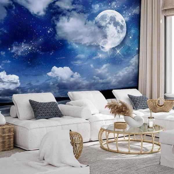 Wall Mural - Magic night