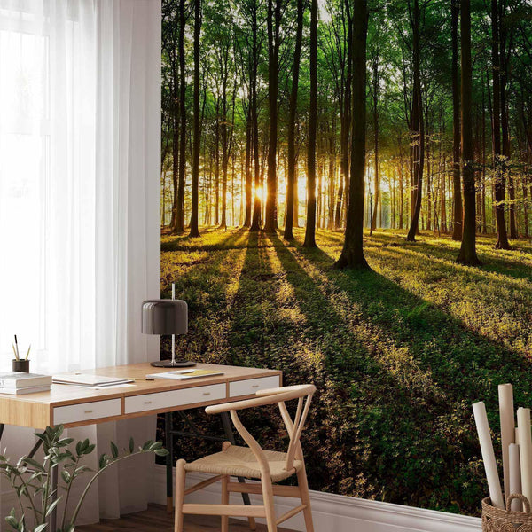 Wall Mural - Spring: Morning in the Forest