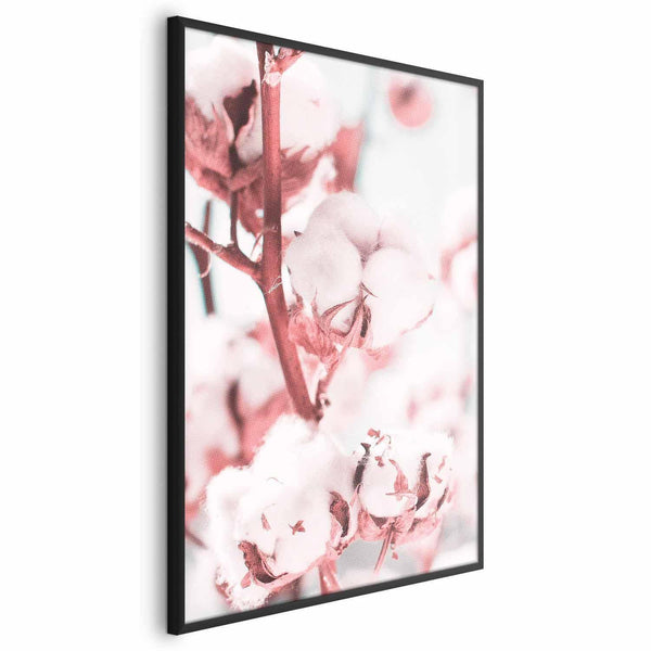 Poster - Cotton in Bloom