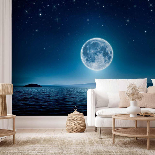 Wall Mural - Moonlit night