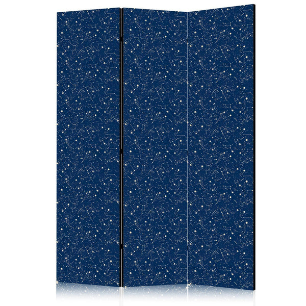Room Divider - Cosmic Inspirations - Pattern with Stars and Constellations on a Dark Background