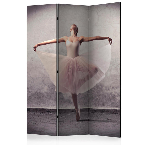 Room Divider - Classical dance - poetry without words
