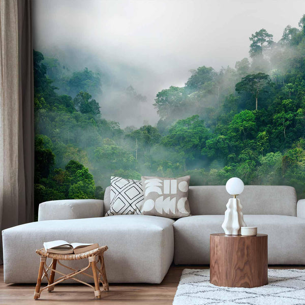 Wall Mural - Morning Fog