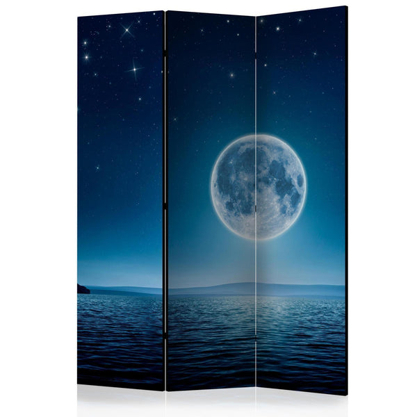 Room Divider - Moonlit night