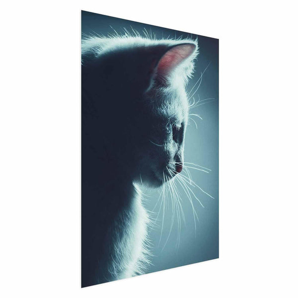 Poster - Night Wanderer