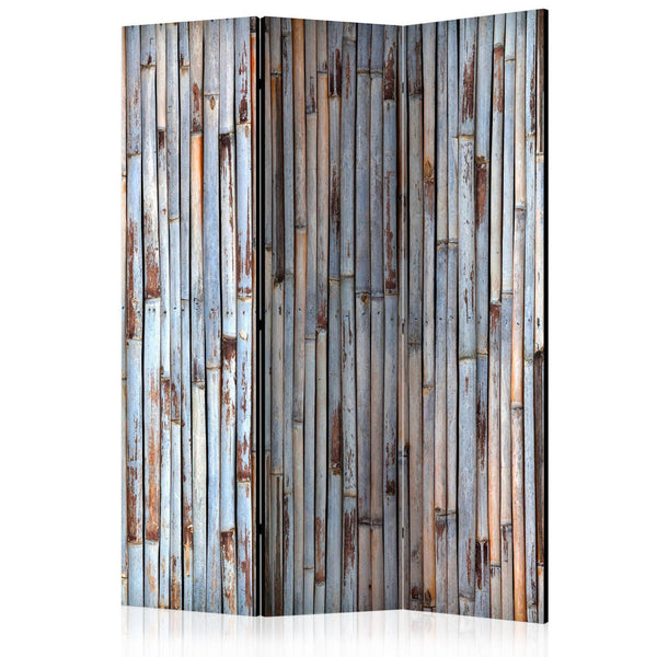 Room Divider - Asian History