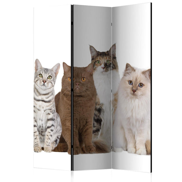 Room Divider - Sweet Cats