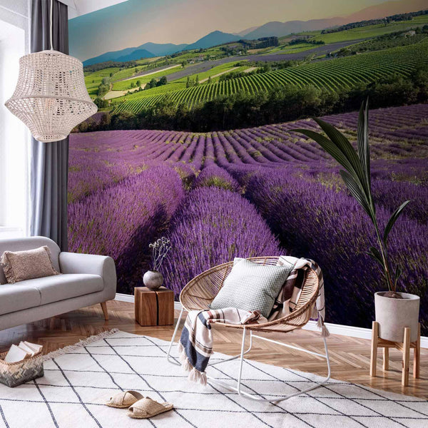 Wall Mural - Lavender Field