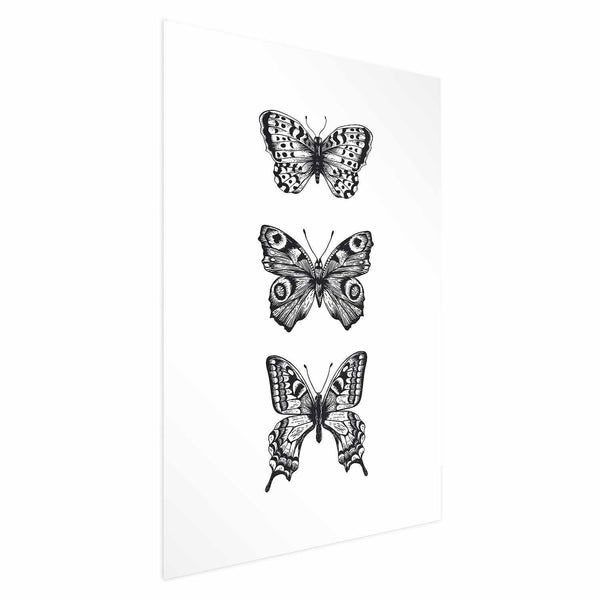 Poster - Three Butterflies