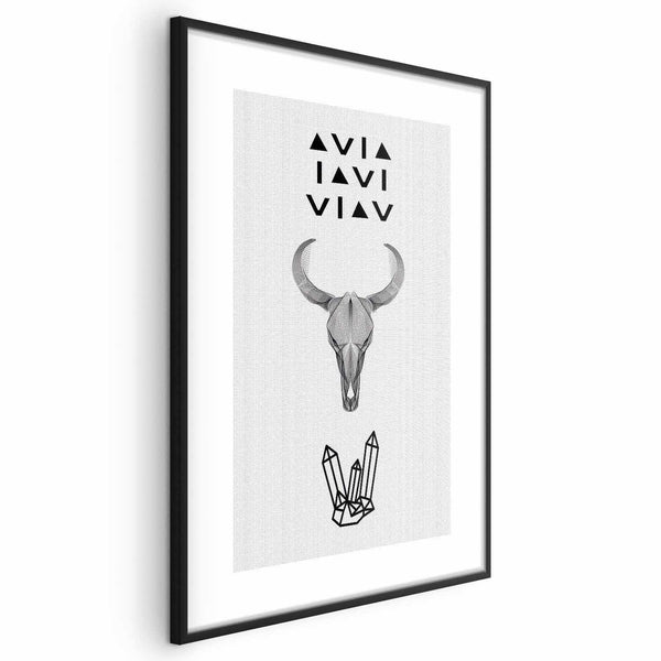 Poster - Animal Skull