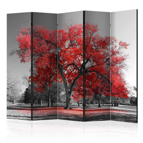 Room Divider - Autumn in the Park II