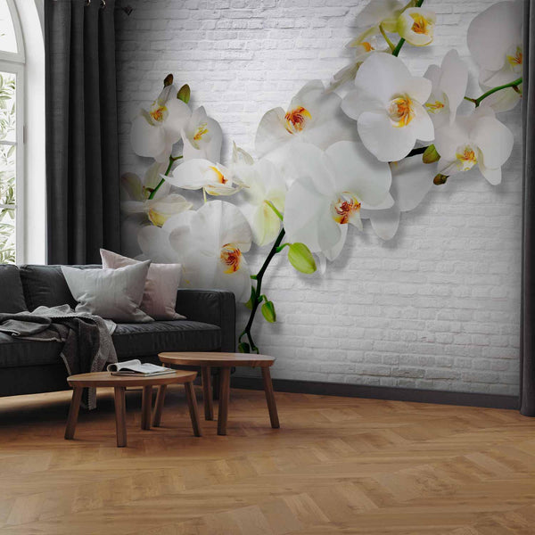 Wall Mural - The Urban Orchid