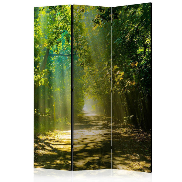 Room Divider - Road in Sunlight