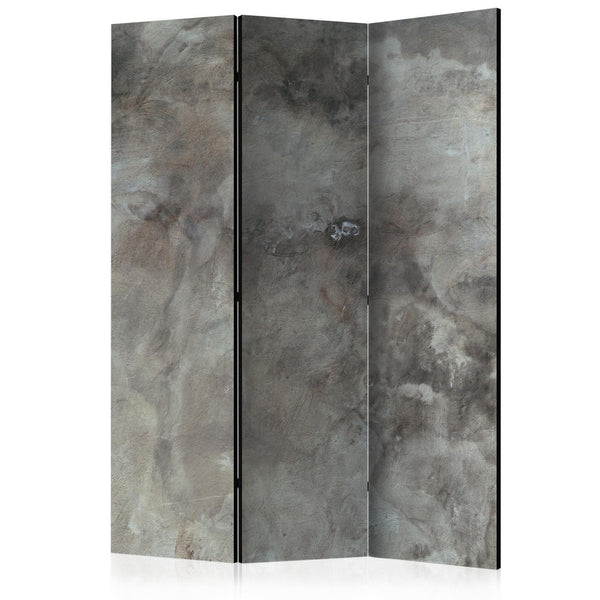 Room Divider - Hail Cloud