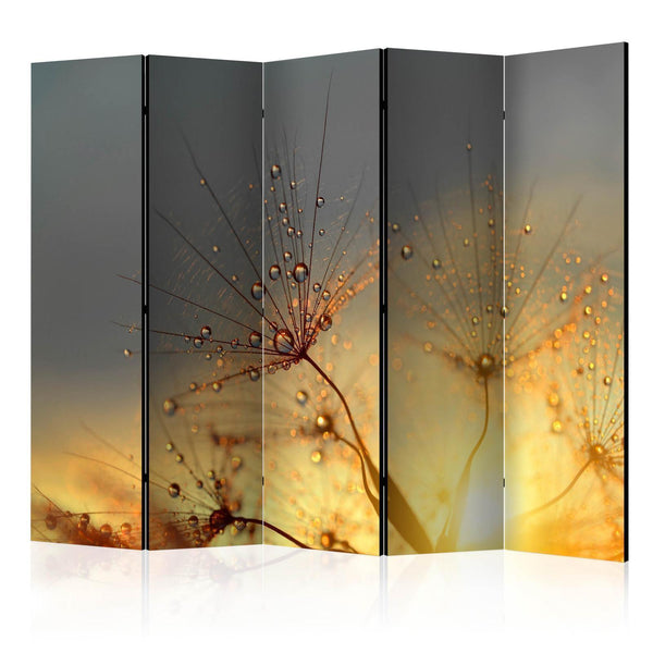 Room Divider - Summer Solstice II