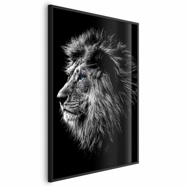 Poster - Blue-eyed Lion