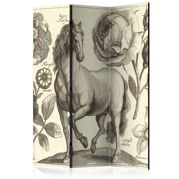 Room Divider - Horse