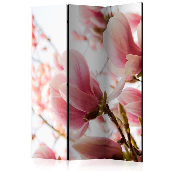 Room Divider - Pink magnolia