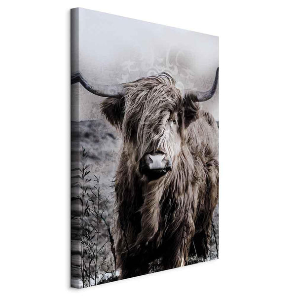 Canvas Print - Highland Cow in Sepia