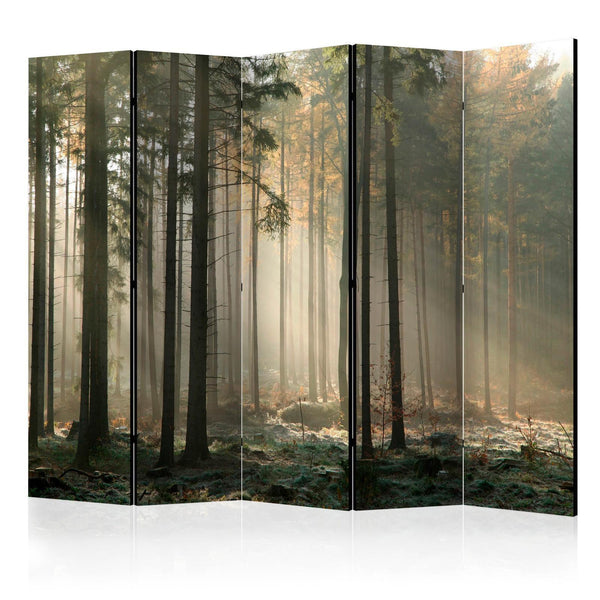 Room Divider - Foggy November morning II