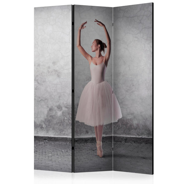 Room Divider - Ballerina in Degas paintings style
