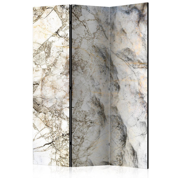 Room Divider - Marble Mystery