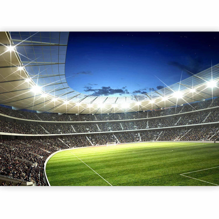 Pitch Stand Wall Mural - Football pitch - illuminated stadium with crowded stands ...
