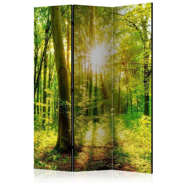 Room Divider - Forest Rays