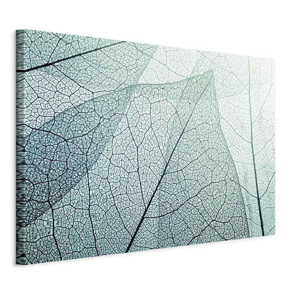 Canvas Print - Macroflora (1 Part) Wide