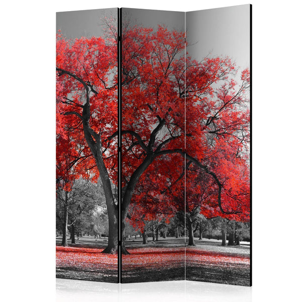 Room Divider - Autumn in the Park