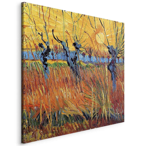 Canvas Print - Willows at Sunset