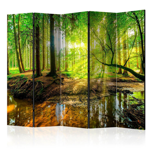 Room Divider - Forest Stream II