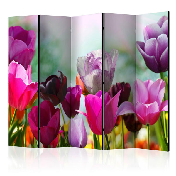 Room Divider - Beautiful Tulips II