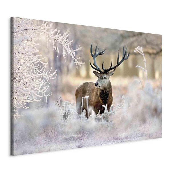 Canvas Print - Deer in the Cold