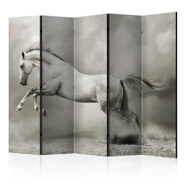 Room Divider - Wild Stallion II
