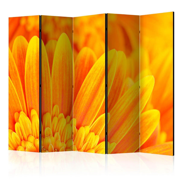 Room Divider - Yellow gerbera daisies II
