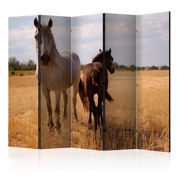 Room Divider - Horse and foal II