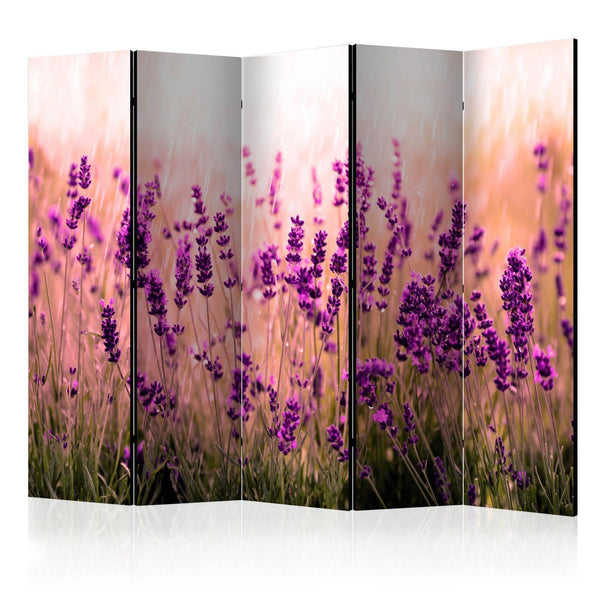 Room Divider - Lavender in the Rain II