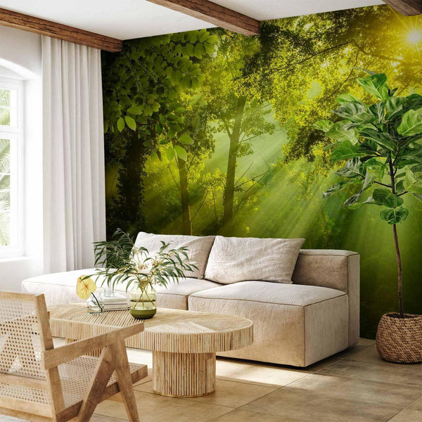 Wall Mural - In a Secret Forest